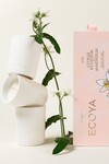MINI TRIO CERAMIC CANDLE GIFT SET  (CITRUS BLOSSOM & MAGNOLIA)