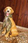 CLEMENZA SILK SCARF (MULTI)