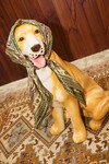 CLEMENZA SILK SCARF (MULTI)